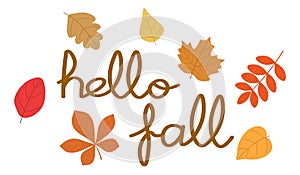 Hello fall lettering banner vector illustration. Autumn leaves greeting